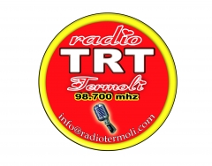 6Trt logo2010.jpg